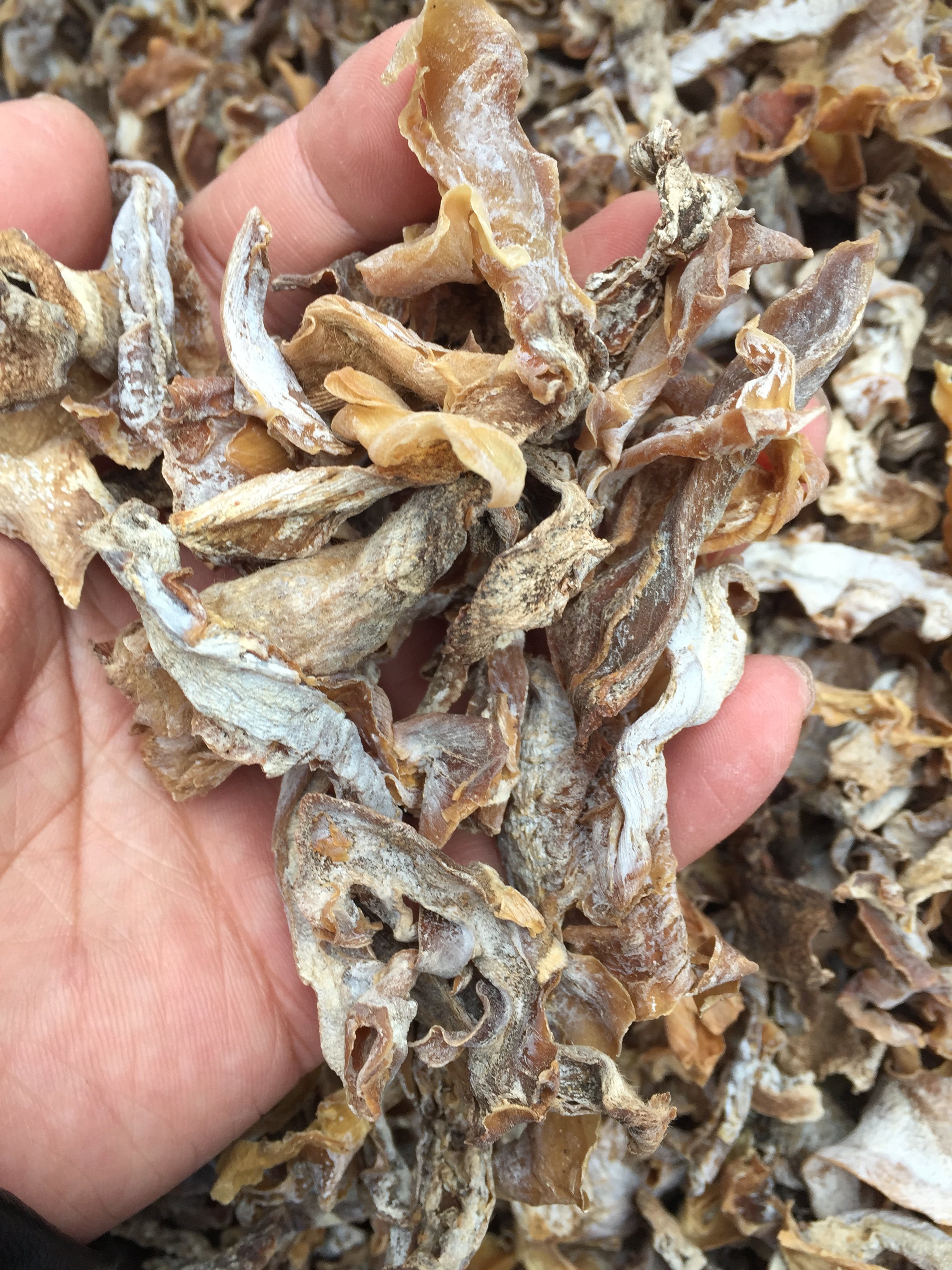 蕲春特产正宗优质干竹笋干菜货500g