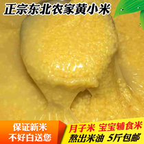 2020 farmhouse millet no added moon rice baby yellow rice millet porridge rice coarse grain small yellow rice 500g