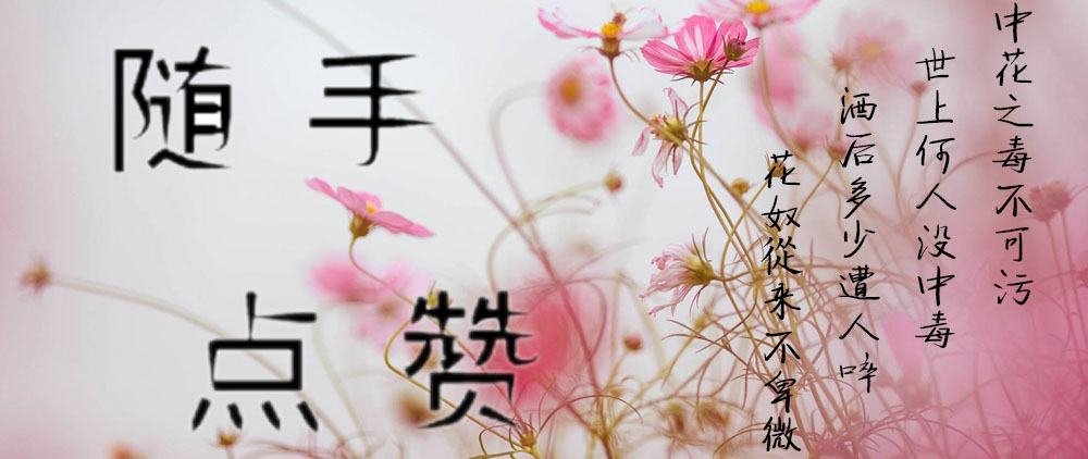 爱打扮(www.idaban.cn)，零下15度这种花竟然不怕冷，越冻越美丽45