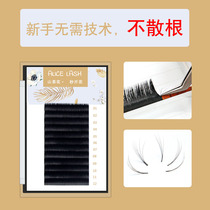 Grafted eyelashes camellia automatic one-second flowering magnetic non-scattering natural soft mink hair kind of beautiful eyelashes false eyelashes