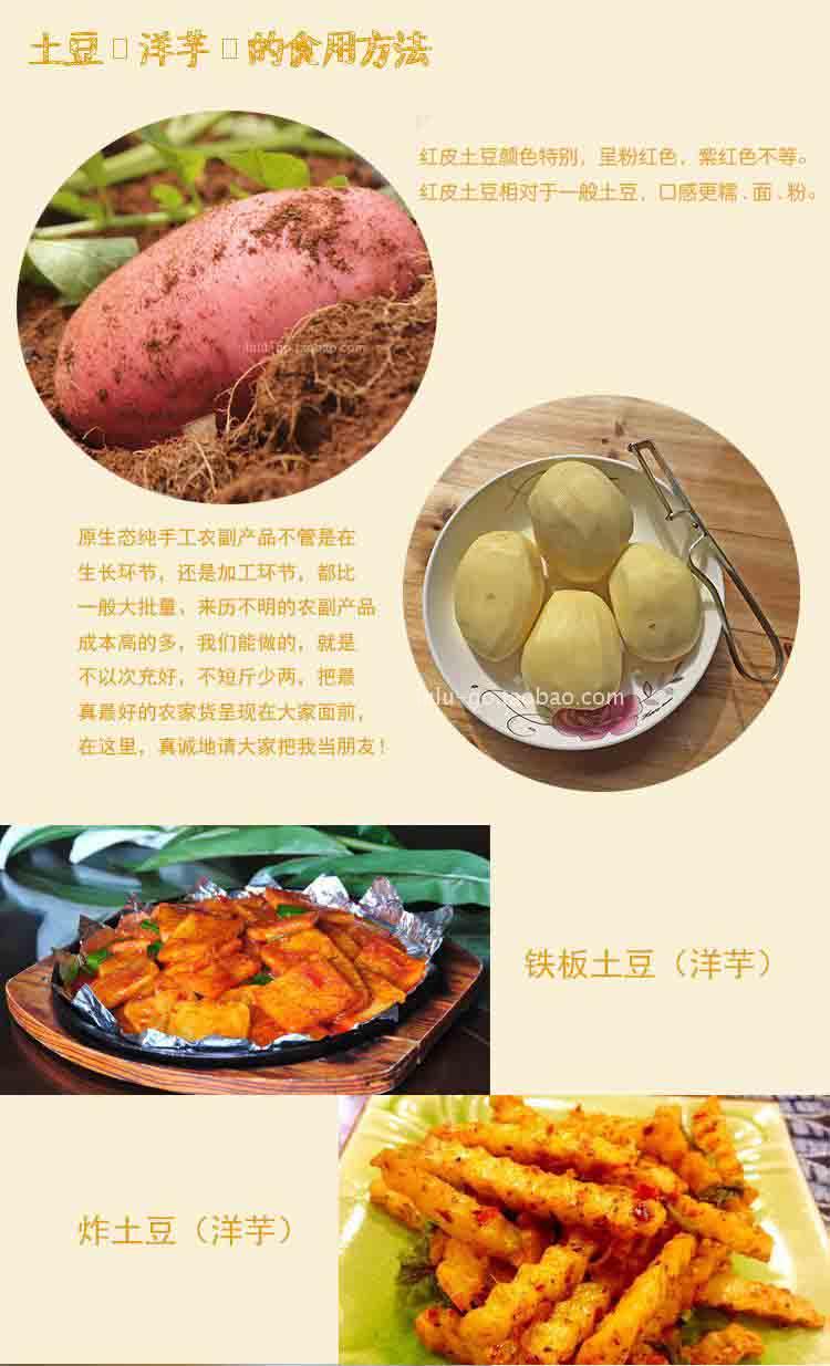 云南高原新鲜土豆洋芋马铃薯蔬菜迷你小红皮农家土豆粉糯10斤包邮
