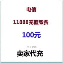 元 100 Payment connection