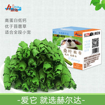 Hand-picked mulberry leaf crispy roll ChinChin rabbit guinea pig Helda snack grass promotes growth and enhances resistance 50g