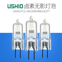 Oxtail halogen lamp beads USHIO FCS 24V150W surgery without shadow bulb microscope bulb projector lamp