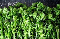 Northeastern Changbai Mountain wild vegetable fresh Cantonese food cucumber fragrant long sushi