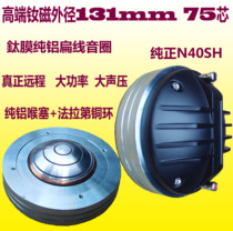 DE800 professional neodymium magnetic 75-core treble driver head dual 15-inch 18-inch speaker outdoor line array remote