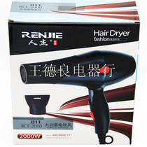 Renjie 811 high-power hot and cold air pure copper motor hair dryer Hair salon household