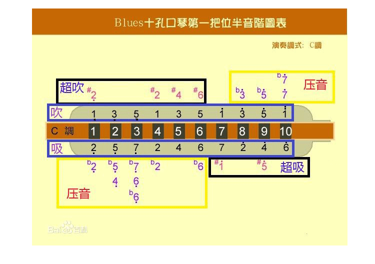 包邮孔声十孔布鲁斯10孔蓝调成人儿童初学者口琴健康环保材质