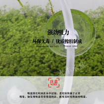 Aquarium fish tank powerful suction cup oxygen pipe fixed suction cup heating rod suction cup suitable 481218 hose