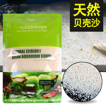 Philippine shell sand coral sand white sand three lakes cichlid sand fish tank bottom sand landscaping natural water purification decoration white