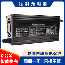 Tuoan Charger ternary lithium iron phosphate battery maintenance-free 5V10A15A20A25A30 customized
