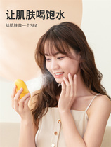 Meng pet Nano spray water supplement meter cold spray machine beauty steamer outdoor portable steamer small face humidification