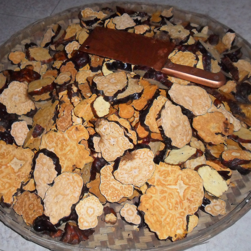 首乌横切片有很明显的云锦花纹,由于首乌生长的环境,土质差异,花纹