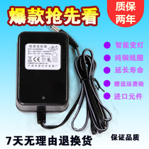 Childrens electric car stroller charger remote control car motorcycle toy car 6v12v power adapter accessories