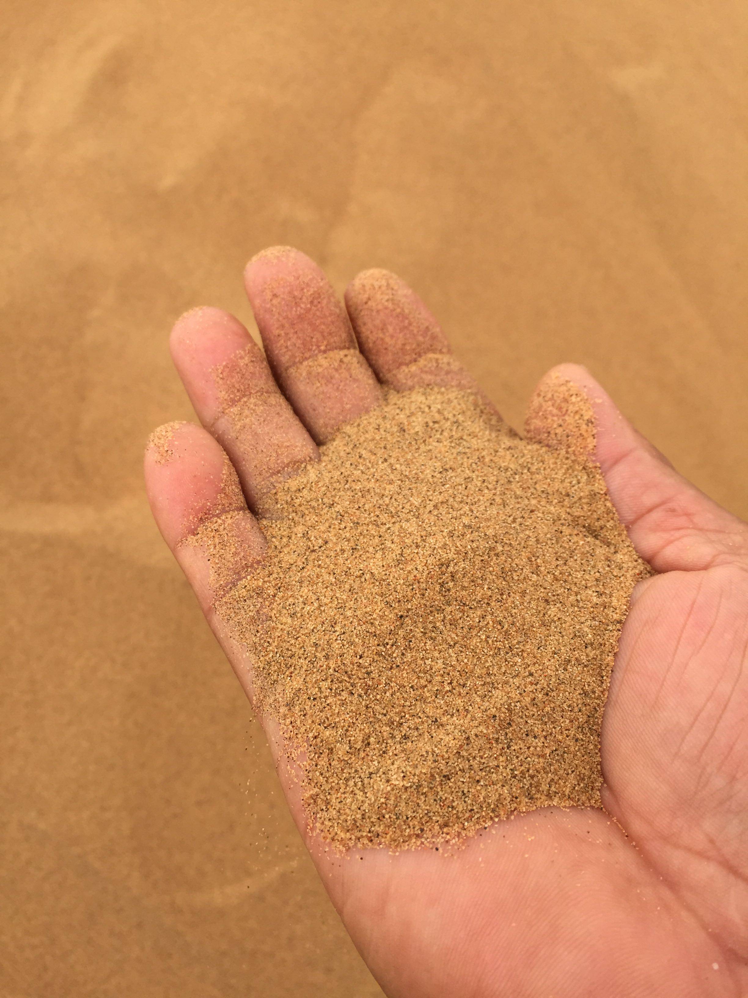 天然细沙沙漏沙画腾格里沙漠沙子沙盘宝宝儿童玩具公斤价