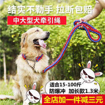 Pet supplies dog chain medium large dog walking rope breast strap dog leash leash leash leash dog P chain Big Dog Leash Dog