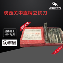 Shaanxi Guanzhong straight shank end mill 2 3 4 5 6 8 10 12 14 16 18 20