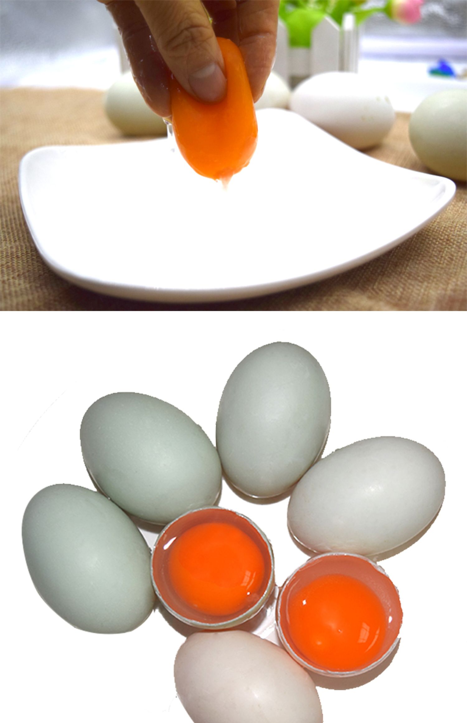 广西北海北部湾红树林新鲜生海鸭蛋土鸭蛋鲜海鸭蛋50枚装