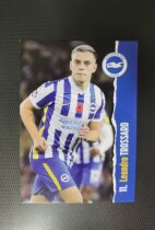 Trossard Belgium Brighton 21 22 season official white card