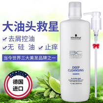 shihualou Shihualou professional shampoo Fresh and clean oil control and anti-dandruff shihualou bc shampoo