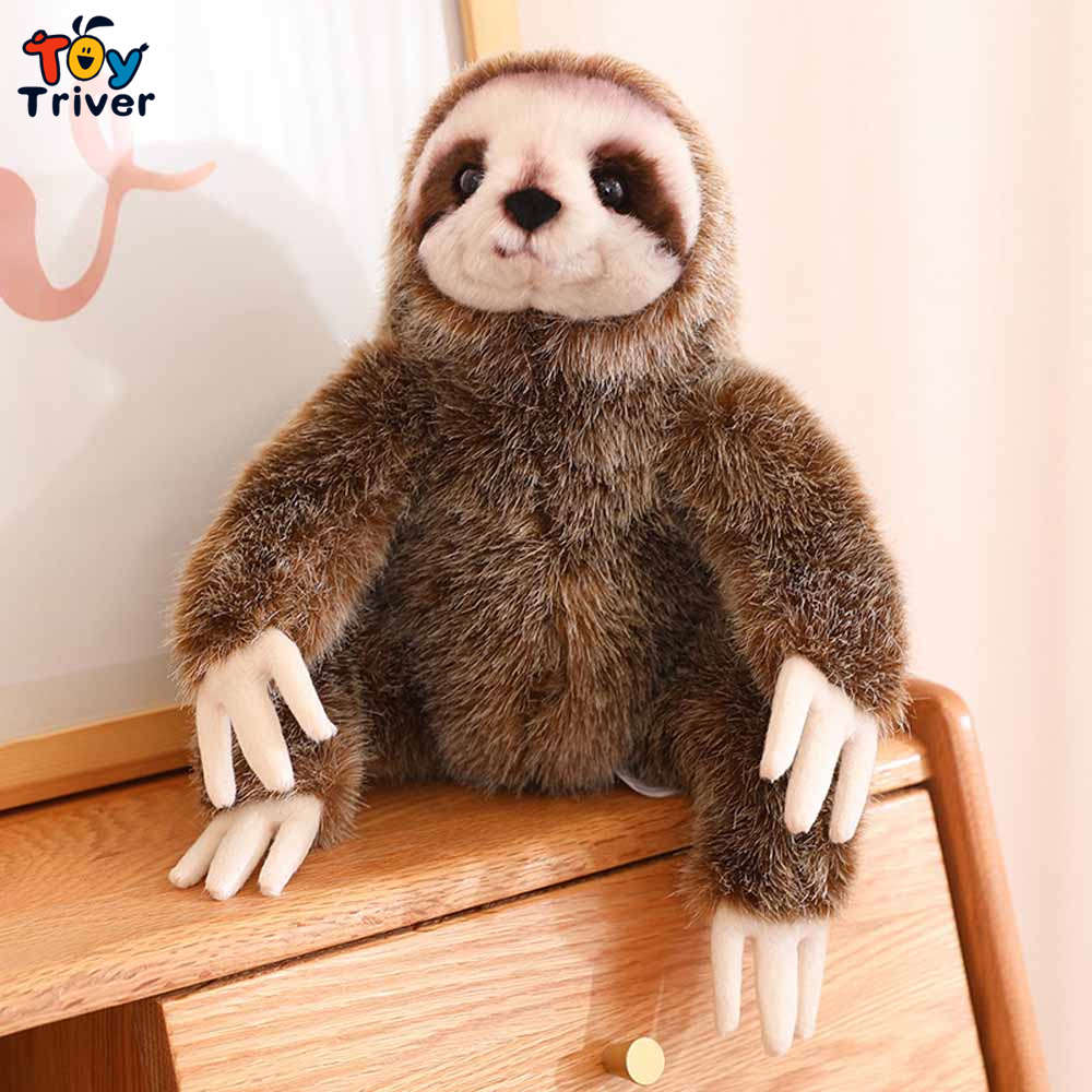 樹懶 Amazon.com: Safari Ltd. Trees TOOB - Figurines of Pine, Elm