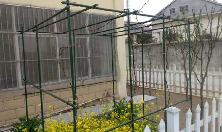 园艺用品花支柱支架包塑钢管爬藤黄瓜支架藤蔓架子波纹管厂家直销