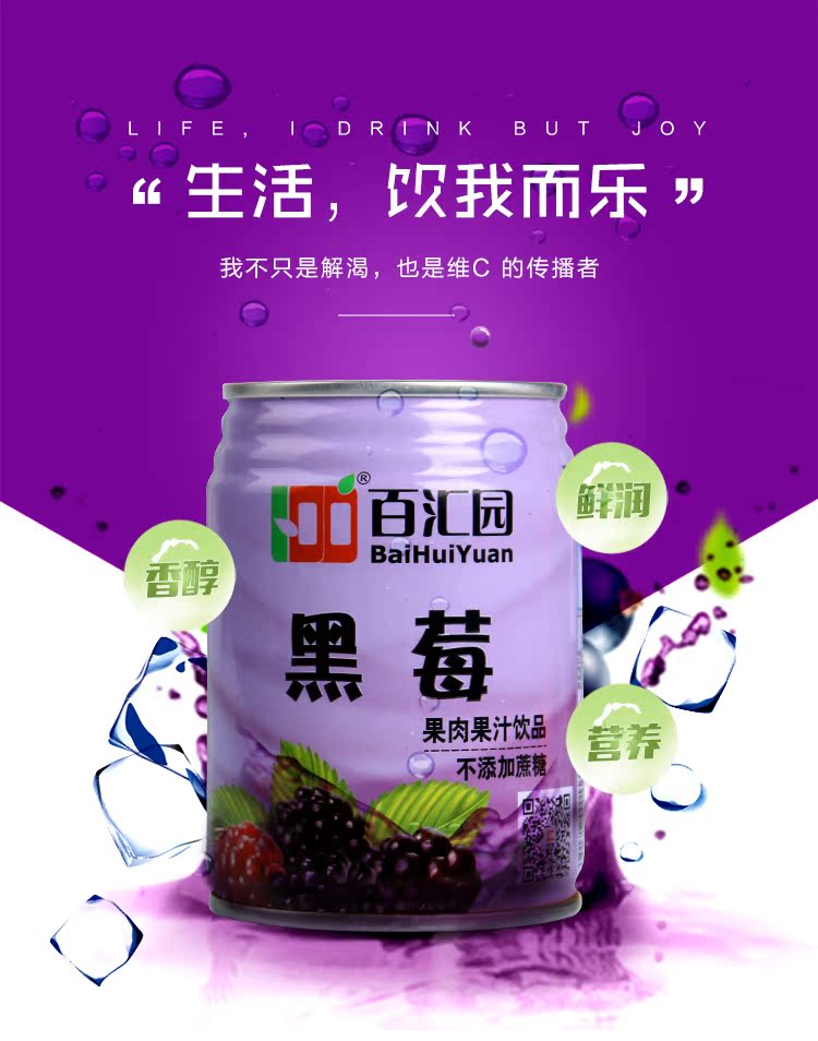 百汇园黑莓果肉果汁黑莓果汁饮料245ml*24瓶包邮黑莓汁饮料果蔬汁_7折