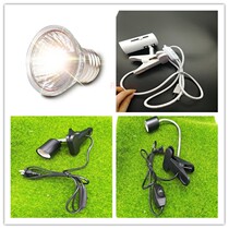 Crawler calcium supplement UV turtle sun back light Turtle light turtle light light uva heating light uvb sun light