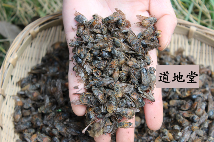 50克中药材虻虫牛蜢牛虻牛蚊子白斑虻灰虻忙虫牛忙