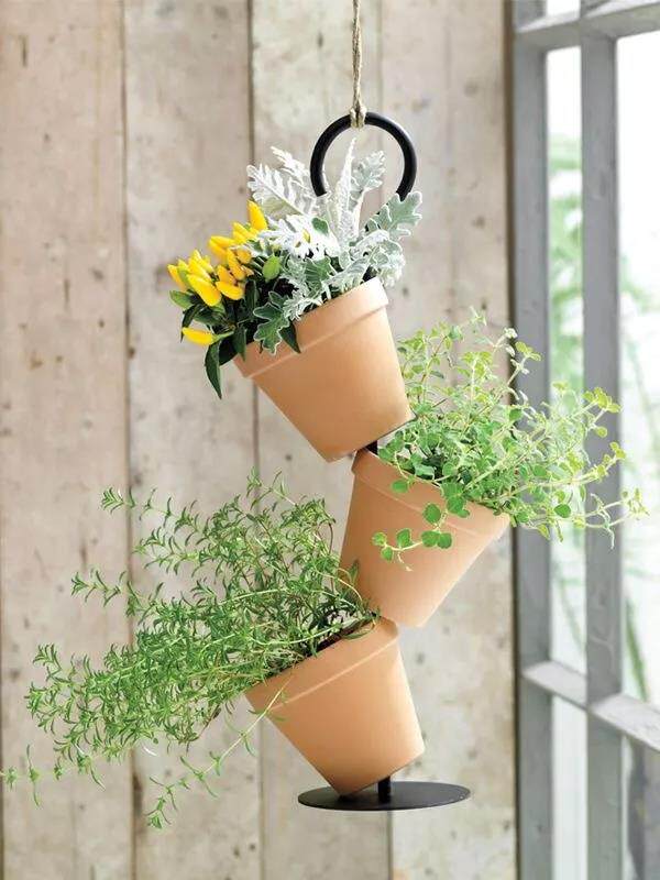 玩转园艺用红陶盆种花