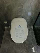 HCG and the integrated bathroom AFC2306 automatically means hot flushing remote control smart toilet and 2406