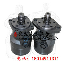 Hydraulic hydraulic motor BMR80 50 BMR100 BMR125 BMR160 BMR200315400250