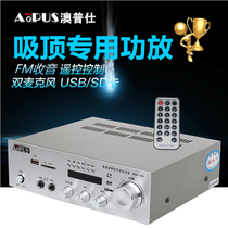 MINI family background music amplifier full 40W U disk SD FM radio remote control USB constant pressure power amplifier