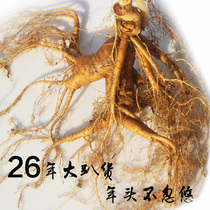 Single half catty Rare Mega Wild Mountain Ginseng Ginseng Fresh Old Mountain Ginseng Forest Ginseng With Long White Mountain Ginseng Fresh Ginseng