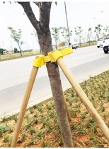 Scenic Miawood accessories Cup Package Bundled Greening Lengthened Support Frame Tree Stirrup Hoop Windproof Sleeve Garden Rack Bar Tie