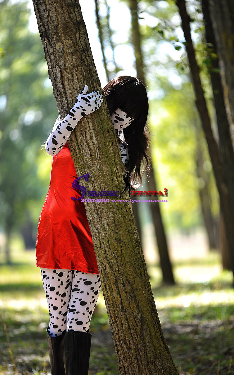 Плотно одежда все включено плотно одежда китай лайкра zentai пятнистая собака плотно одежда серийный номер :A042     