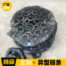 Non-Peuding Do Carbon Steel Profiled Chain Stainless Steel Roller Transport Chain Single Side Double Hole Industrial Bend Board Conveyor Chain