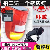 Solar induction idyllic decorative lights prompt anti-theft infrared alarm high precision outdoor Forest Horse cattle sheep