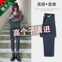 Cowboy Daddy Pants Women Pants Autumn and Winter Loose High Waist 170 Tall Women Temperament Longer Edition Harlem Pants