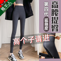 Gray Shark Leggings Women Wear Autumn and Winter Thick 170 Tall Long Barbie Plus Velvet Yoga Pants