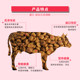 The United States sent in cat food 10kg20 pounds short blue cat Garfield anti-British short hair ball cat food beef flavor Kitten Cat Food The United States sent in cat food 10kg20 pounds short blue cat Garfield anti-British short hair ball cat food beef flavor Kitten Cat Food