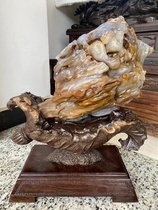 Ice species Myanmar tree jade Rough Stone Lucky Town House Qishi collection Stone wood fossil hall Desktop medium-sized ornaments