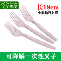 Wheat straw plastic fork Disposable salad pasta fork Biodegradable Individually packaged Food grade Western fork Thick