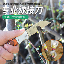 Grafting knife bud grafting knife seedling fruit tree knife folding tree knife outdoor portable knife grafting artifact hand-cut wood knife