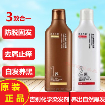 Yi Shengzhiyuan White turn black shampoo without silicone oil anti-itching anti-stripping and hair growth Black Shampoo