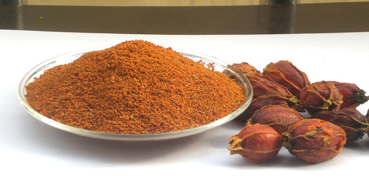 中药材现磨栀子粉 山栀子粉大枝子粉 黄栀子粉