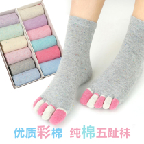 Five-finger socks womens pure cotton spring and summer short tube five-toed socks cute deodorant breathable couple socks womens socks cartoon box