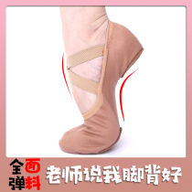 Full elastic cloth ballet dance shoes womens soft soles adult cat claw training shoes shape shoes dancing shoes non-slip display instep
