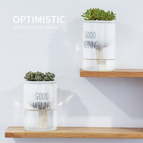 Hydroponic plant glass bottle transparent glass vase container green flower pot round ball fish tank water raising small vessel