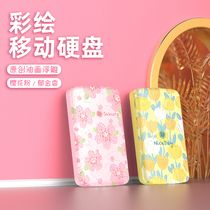 Memory of the High Speed Hard Disk Drive 500g Painted Illustrations External Laptop Hard Drive Cute Teenage Wind Student